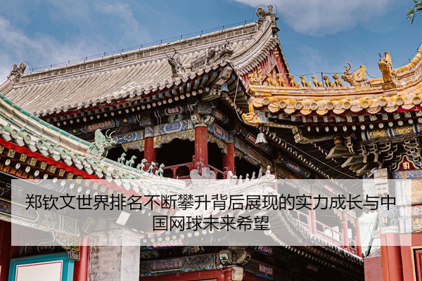 郑钦文世界排名不断攀升背后展现的实力成长与中国网球未来希望