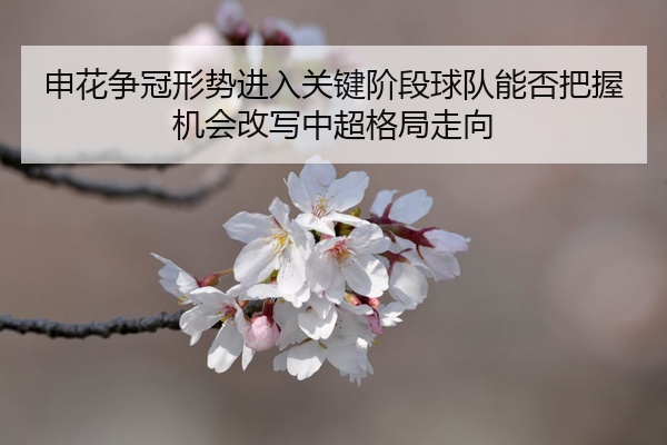 申花争冠形势进入关键阶段球队能否把握机会改写中超格局走向