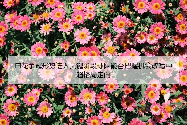 申花争冠形势进入关键阶段球队能否把握机会改写中超格局走向